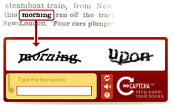 reCAPTCHA explanation